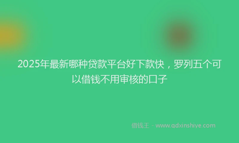 2025年最新哪种贷款平台好下款快，罗列五个可以借钱不用审核的口子