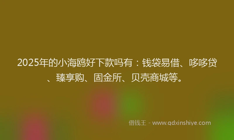 2025年的小海鸥好下款吗有：钱袋易借、哆哆贷、臻享购、固金所、贝壳商城等。