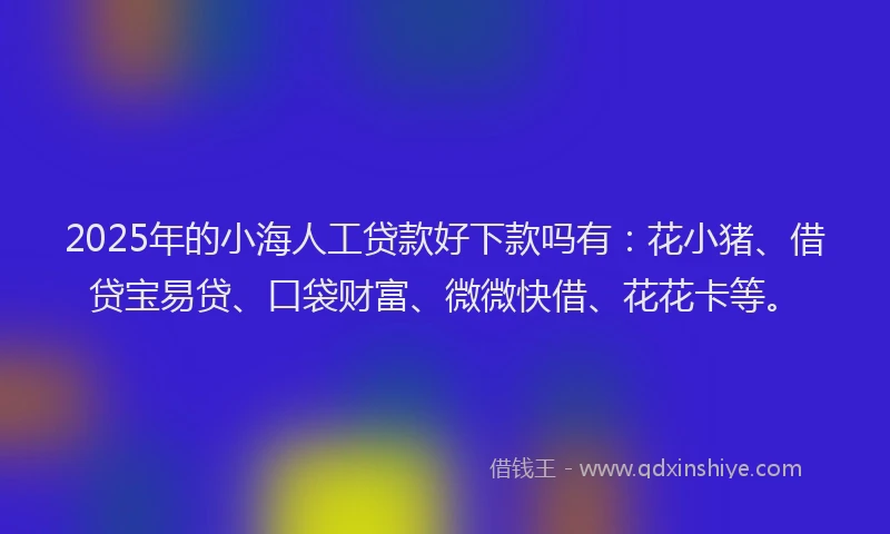 2025年的小海人工贷款好下款吗有：花小猪、借贷宝易贷、口袋财富、微微快借、花花卡等。
