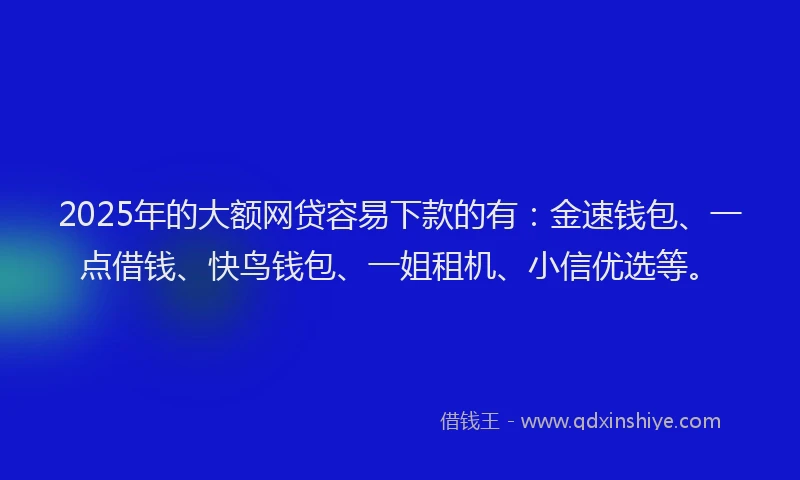 2025年的大额网贷容易下款的有：金速钱包、一点借钱、快鸟钱包、一姐租机、小信优选等。