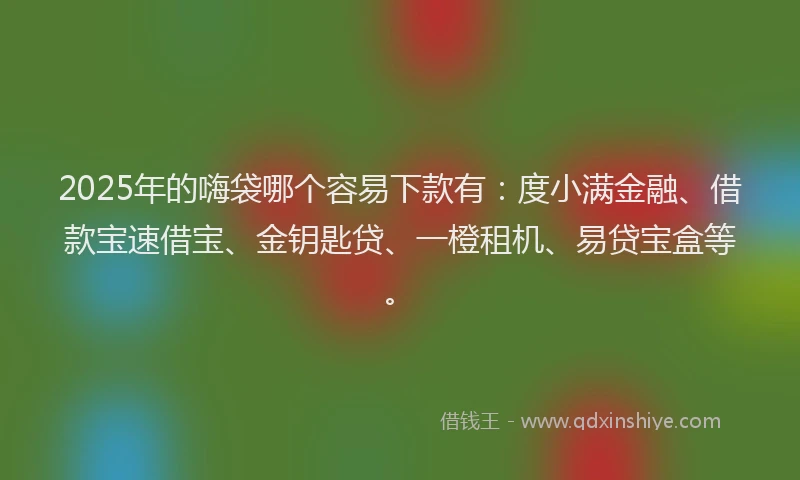 2025年的嗨袋哪个容易下款有：度小满金融、借款宝速借宝、金钥匙贷、一橙租机、易贷宝盒等。