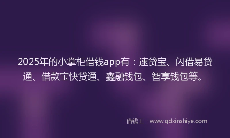2025年的小掌柜借钱app有：速贷宝、闪借易贷通、借款宝快贷通、鑫融钱包、智享钱包等。