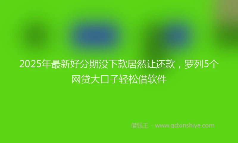 2025年最新好分期没下款居然让还款，罗列5个网贷大口子轻松借软件
