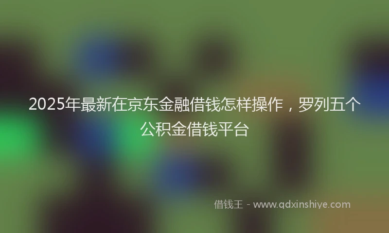 2025年最新在京东金融借钱怎样操作，罗列五个公积金借钱平台
