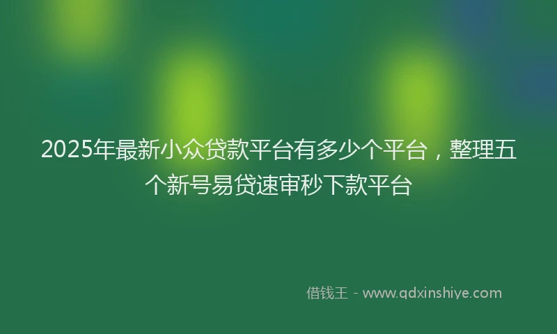 2025年最新小众贷款平台有多少个平台，整理五个新号易贷速审秒下款平台