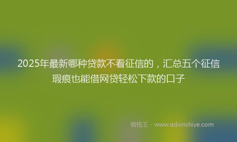 2025年最新哪种贷款不看征信的，汇总五个征信瑕疵也能借网贷轻松下款的口子