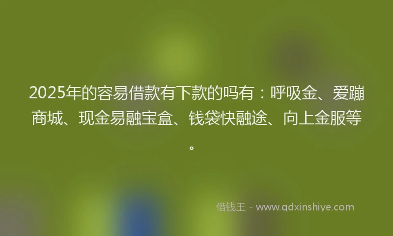 2025年的容易借款有下款的吗有：呼吸金、爱蹦商城、现金易融宝盒、钱袋快融途、向上金服等。