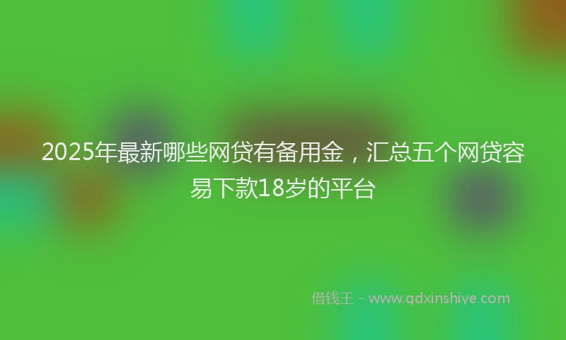 2025年最新哪些网贷有备用金，汇总五个网贷容易下款18岁的平台