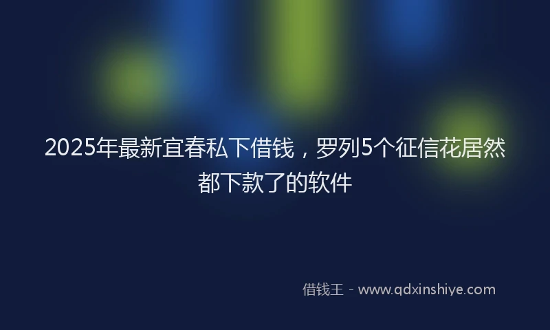 2025年最新宜春私下借钱，罗列5个征信花居然都下款了的软件