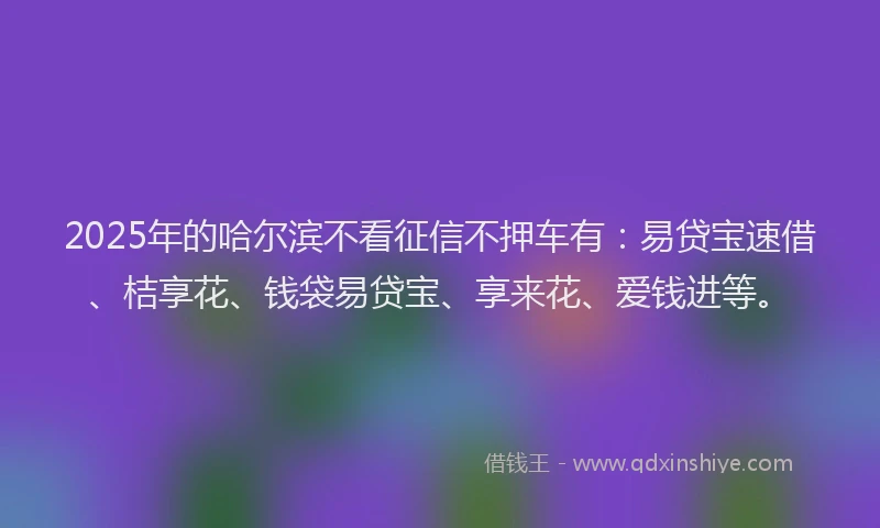 2025年的哈尔滨不看征信不押车有：易贷宝速借、桔享花、钱袋易贷宝、享来花、爱钱进等。