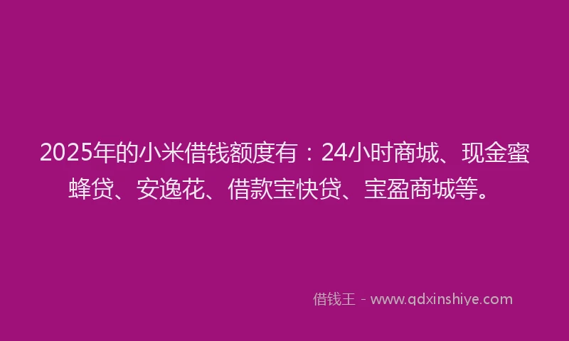 2025年的小米借钱额度有：24小时商城、现金蜜蜂贷、安逸花、借款宝快贷、宝盈商城等。