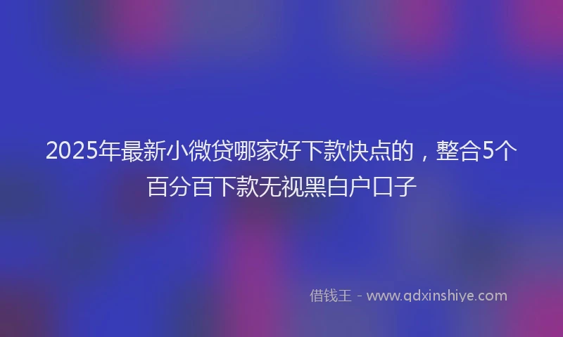 2025年最新小微贷哪家好下款快点的，整合5个百分百下款无视黑白户口子