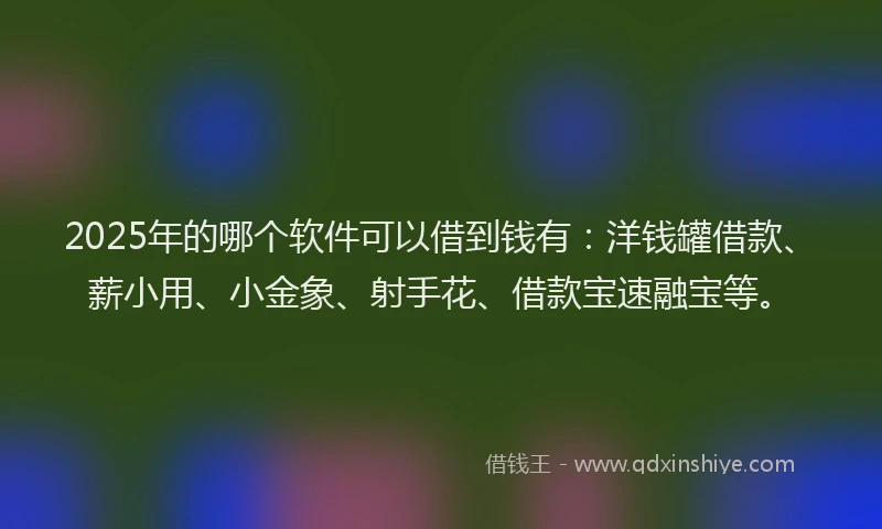 2025年的哪个软件可以借到钱有：洋钱罐借款、薪小用、小金象、射手花、借款宝速融宝等。