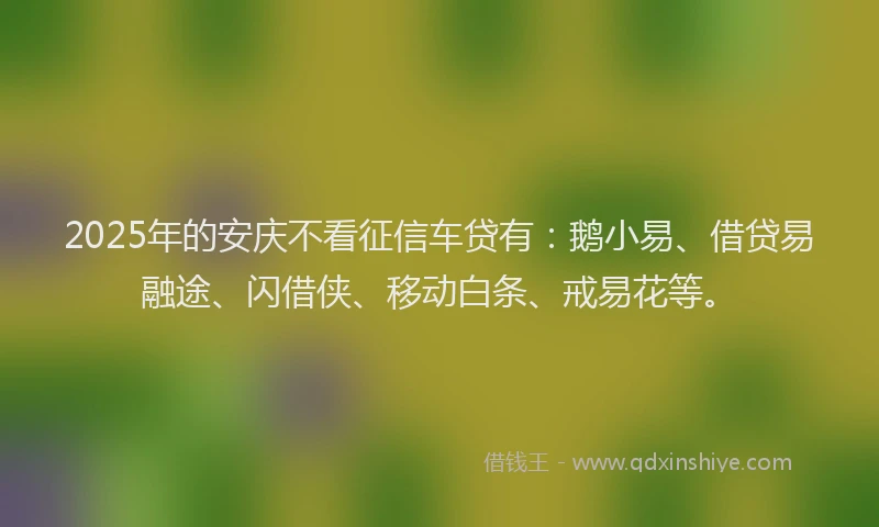 2025年的安庆不看征信车贷有：鹅小易、借贷易融途、闪借侠、移动白条、戒易花等。