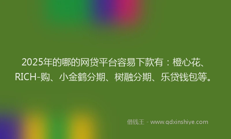 2025年的哪的网贷平台容易下款有：橙心花、RICH-购、小金鹤分期、树融分期、乐贷钱包等。
