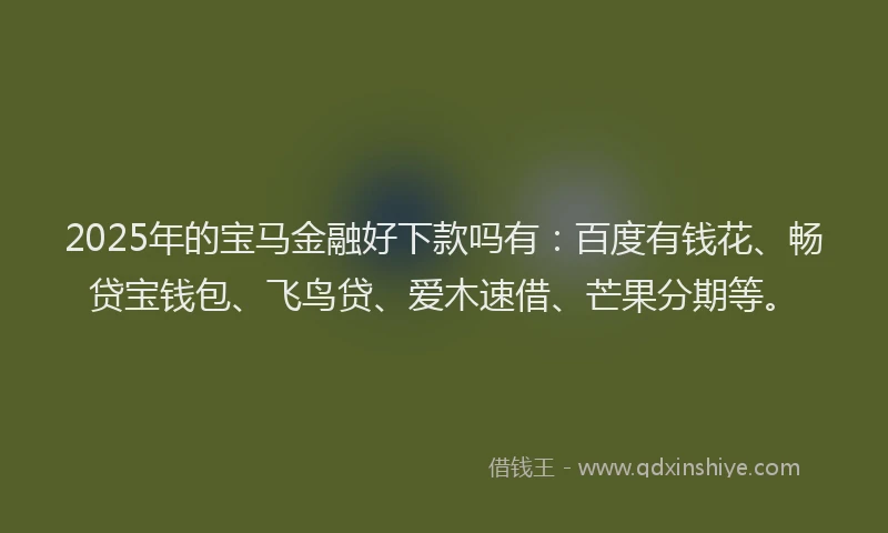 2025年的宝马金融好下款吗有：百度有钱花、畅贷宝钱包、飞鸟贷、爱木速借、芒果分期等。