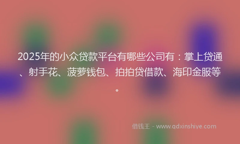 2025年的小众贷款平台有哪些公司有：掌上贷通、射手花、菠萝钱包、拍拍贷借款、海印金服等。