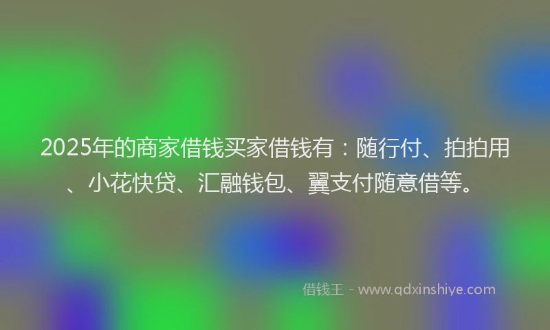 2025年的商家借钱买家借钱有：随行付、拍拍用、小花快贷、汇融钱包、翼支付随意借等。