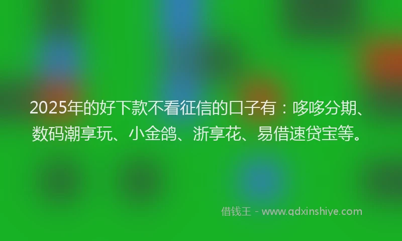 2025年的好下款不看征信的口子有：哆哆分期、数码潮享玩、小金鸽、浙享花、易借速贷宝等。