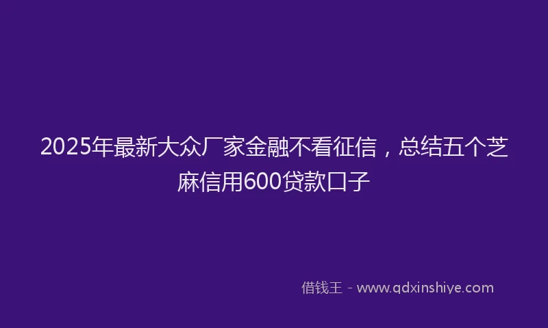 2025年最新大众厂家金融不看征信，总结五个芝麻信用600贷款口子