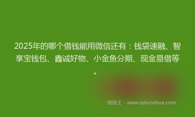 2025年的哪个借钱能用微信还有：钱袋速融、智享宝钱包、鑫诚好物、小金鱼分期、现金易借等。