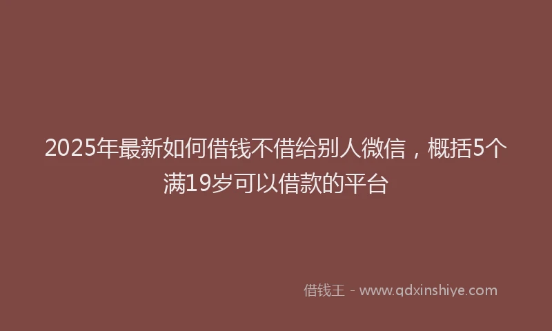 2025年最新如何借钱不借给别人微信，概括5个满19岁可以借款的平台