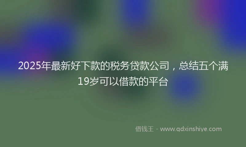 2025年最新好下款的税务贷款公司，总结五个满19岁可以借款的平台