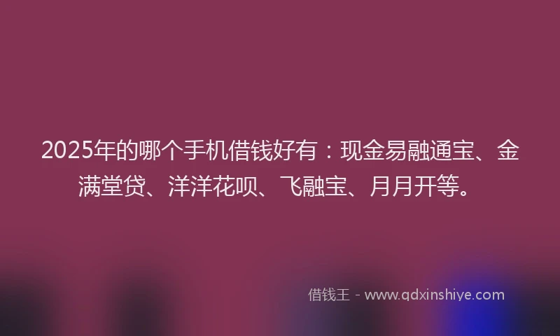 2025年的哪个手机借钱好有：现金易融通宝、金满堂贷、洋洋花呗、飞融宝、月月开等。