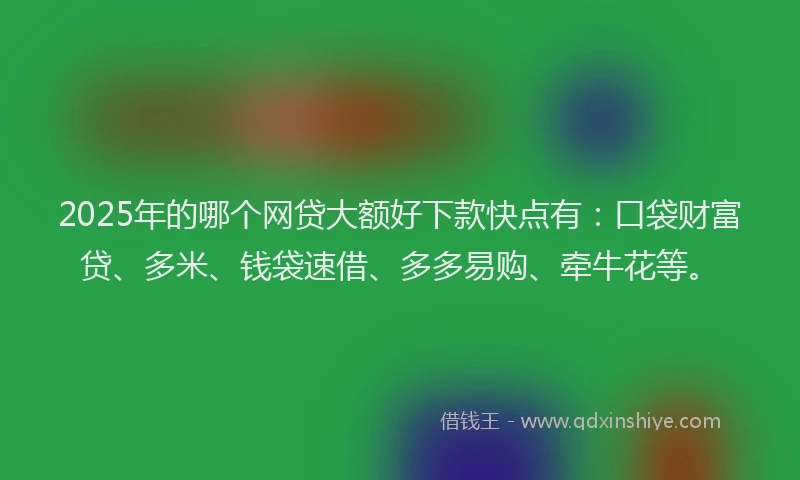 2025年的哪个网贷大额好下款快点有：口袋财富贷、多米、钱袋速借、多多易购、牵牛花等。