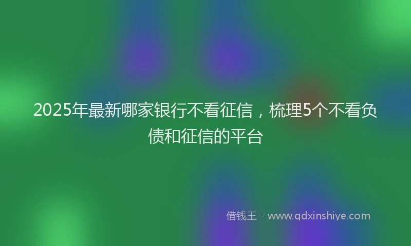 2025年最新哪家银行不看征信，梳理5个不看负债和征信的平台