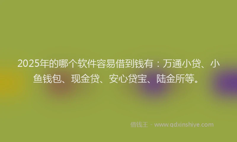 2025年的哪个软件容易借到钱有：万通小贷、小鱼钱包、现金贷、安心贷宝、陆金所等。
