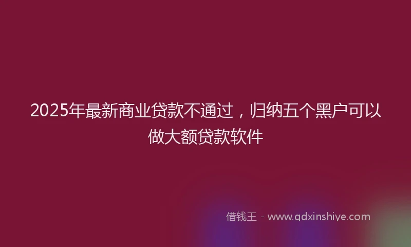 2025年最新商业贷款不通过，归纳五个黑户可以做大额贷款软件