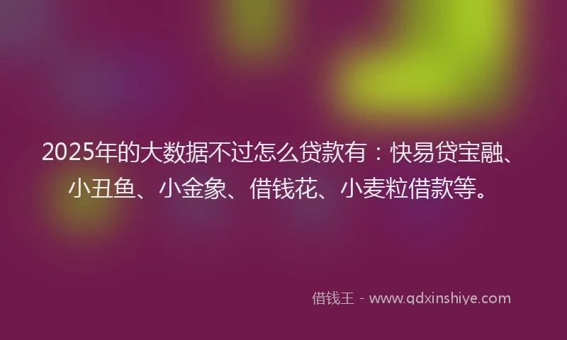 2025年的大数据不过怎么贷款有：快易贷宝融、小丑鱼、小金象、借钱花、小麦粒借款等。