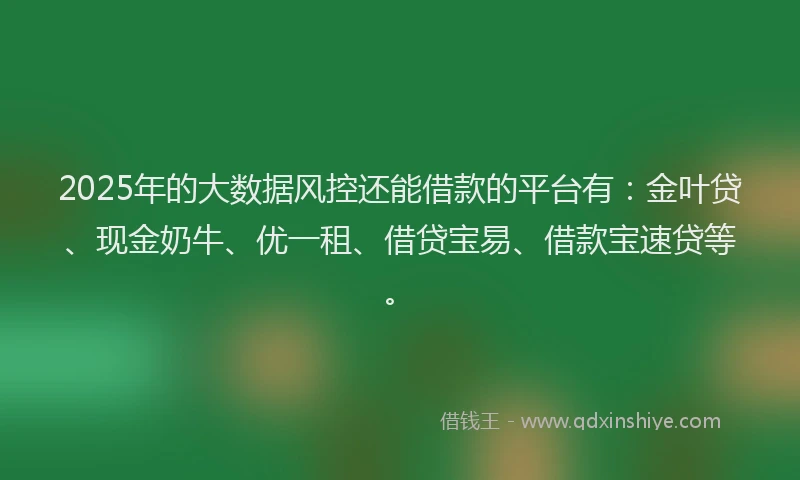 2025年的大数据风控还能借款的平台有：金叶贷、现金奶牛、优一租、借贷宝易、借款宝速贷等。