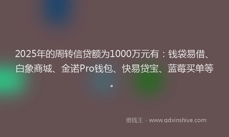 2025年的周转信贷额为1000万元有：钱袋易借、白象商城、金诺Pro钱包、快易贷宝、蓝莓买单等。
