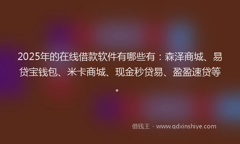 2025年的在线借款软件有哪些有：森泽商城、易贷宝钱包、米卡商城、现金秒贷易、盈盈速贷等。