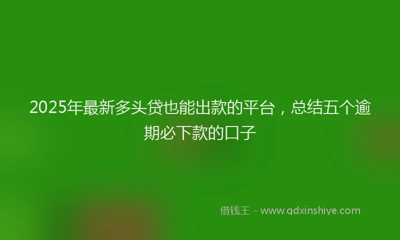 2025年最新多头贷也能出款的平台，总结五个逾期必下款的口子