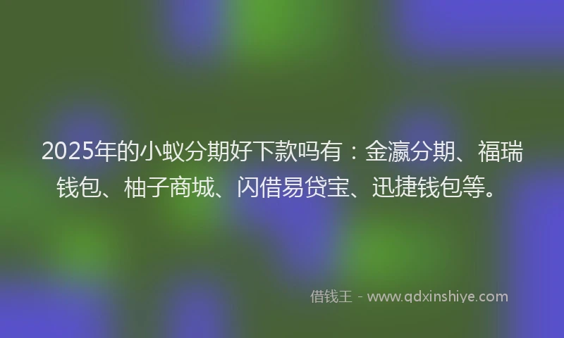 2025年的小蚁分期好下款吗有：金瀛分期、福瑞钱包、柚子商城、闪借易贷宝、迅捷钱包等。