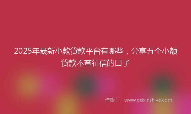 2025年最新小款贷款平台有哪些，分享五个小额贷款不查征信的口子