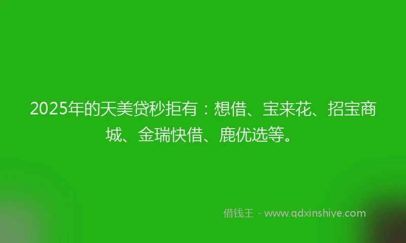 2025年的天美贷秒拒有：想借、宝来花、招宝商城、金瑞快借、鹿优选等。