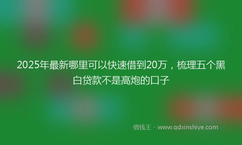 2025年最新哪里可以快速借到20万，梳理五个黑白贷款不是高炮的口子