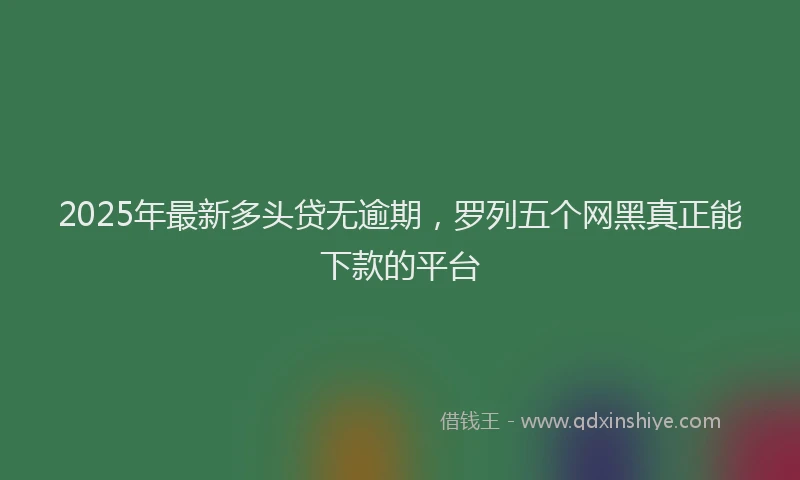 2025年最新多头贷无逾期，罗列五个网黑真正能下款的平台