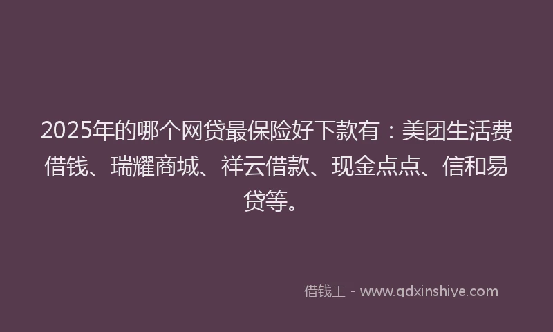 2025年的哪个网贷最保险好下款有：美团生活费借钱、瑞耀商城、祥云借款、现金点点、信和易贷等。