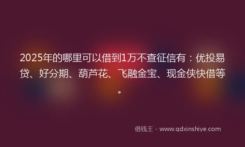 2025年的哪里可以借到1万不查征信有：优投易贷、好分期、葫芦花、飞融金宝、现金侠快借等。