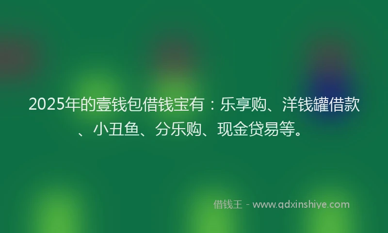 2025年的壹钱包借钱宝有：乐享购、洋钱罐借款、小丑鱼、分乐购、现金贷易等。