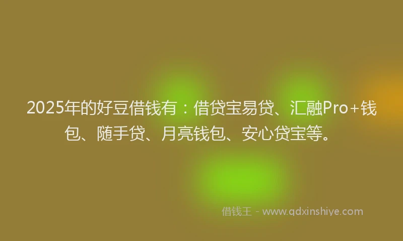 2025年的好豆借钱有：借贷宝易贷、汇融Pro+钱包、随手贷、月亮钱包、安心贷宝等。