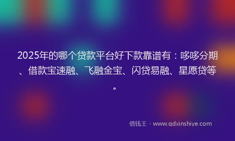 2025年的哪个贷款平台好下款靠谱有：哆哆分期、借款宝速融、飞融金宝、闪贷易融、星愿贷等。