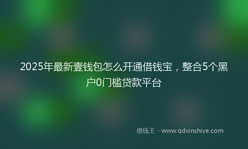 2025年最新壹钱包怎么开通借钱宝，整合5个黑户0门槛贷款平台