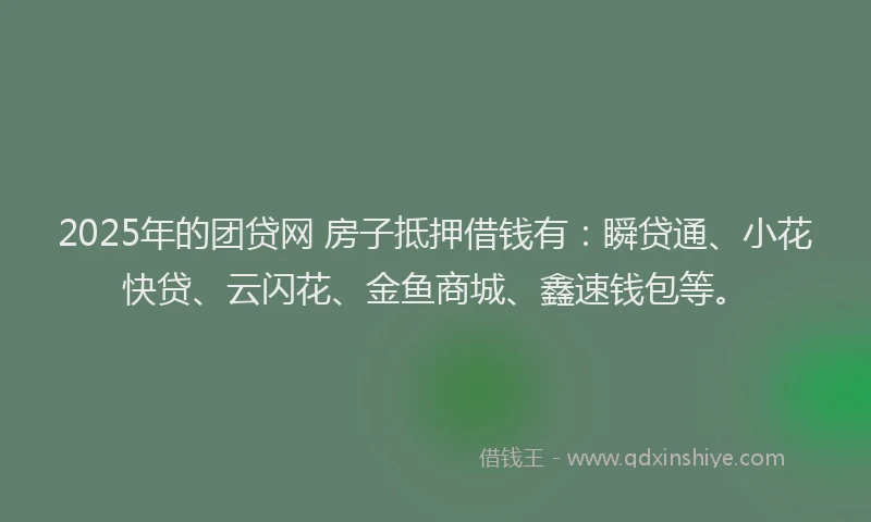 2025年的团贷网 房子抵押借钱有：瞬贷通、小花快贷、云闪花、金鱼商城、鑫速钱包等。