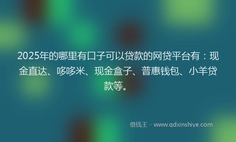 2025年的哪里有口子可以贷款的网贷平台有：现金直达、哆哆米、现金盒子、普惠钱包、小羊贷款等。